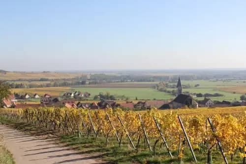 Gites Chez le Vigneron - Photo 1