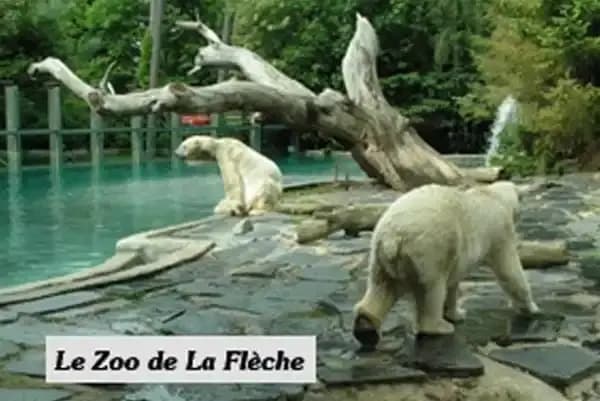LOGIS L'Auberge Alsacienne - Miniature 6