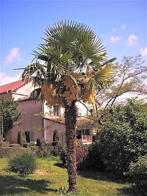 La Ferme Jarlan - Photo 2