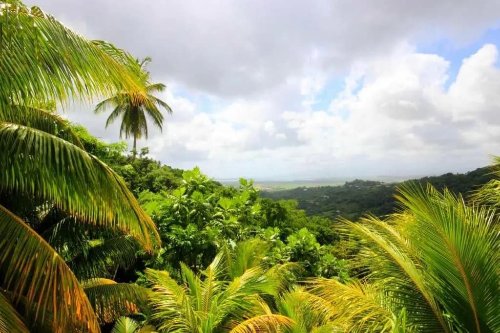House With 2 Bedrooms in Rivière-salée, With Wonderful Mountain View, Enclosed Garden and Wifi - 8 km From the Beach - Min...