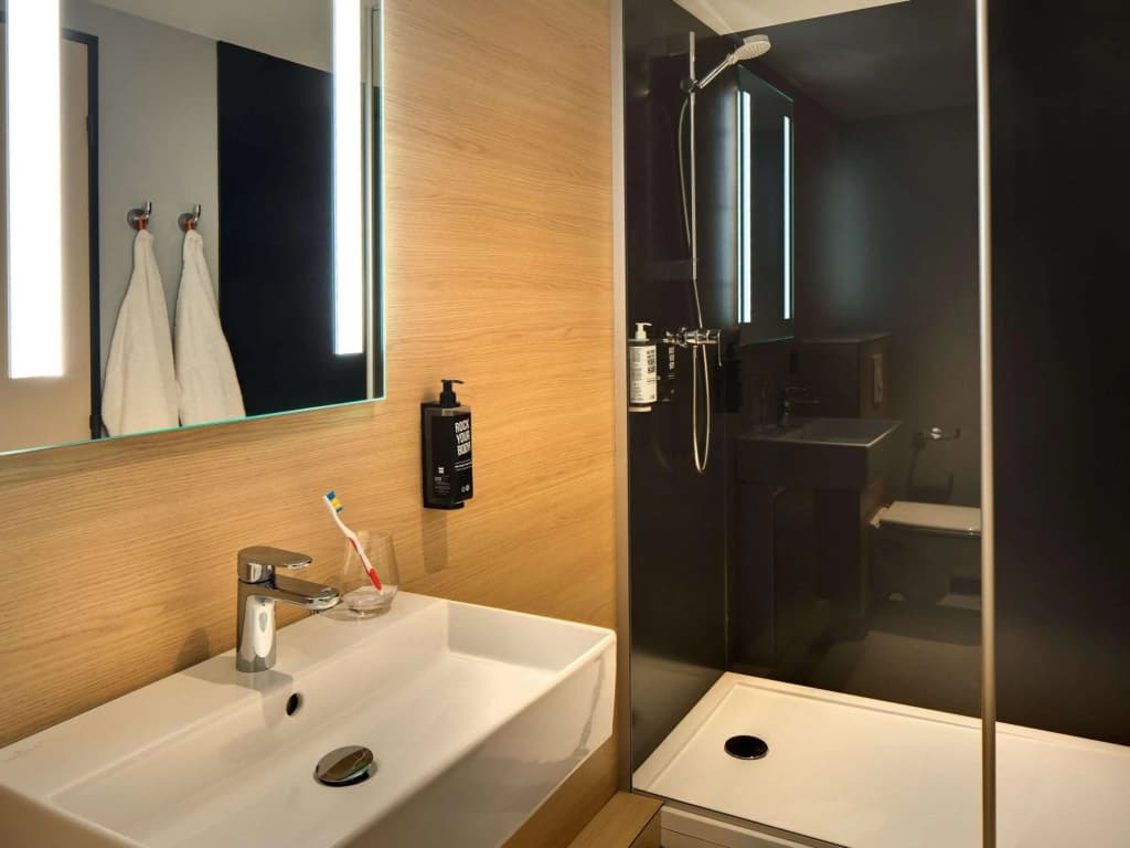 Ibis Vichy - Miniature 7