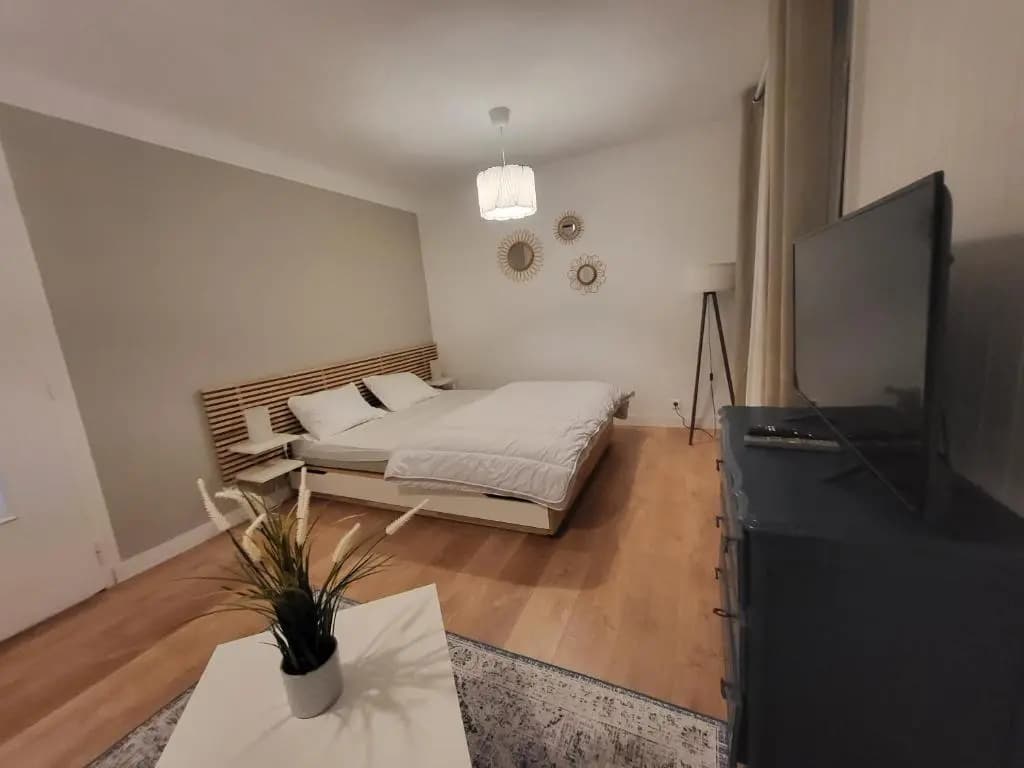 Appartement T1 bis 35m2 ANNECY proche centre ville REFAIT EN DECEMBRE 2021 - Photo 4