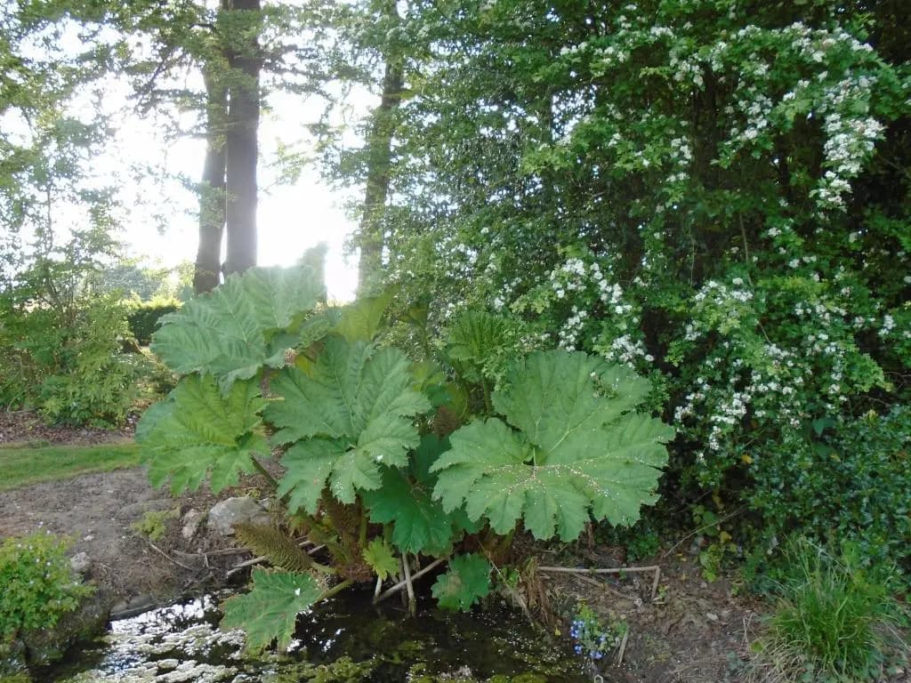 Le Colombier - Photo 3