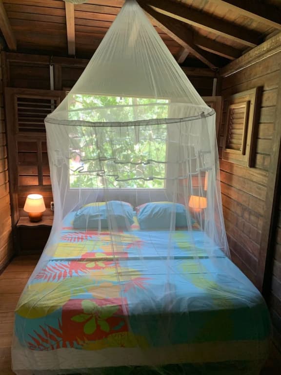 ecolodge Martinique - Photo 1
