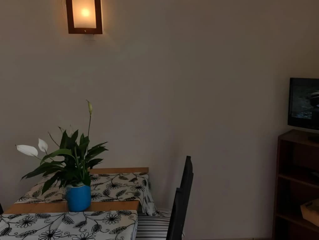 Résidence Appart Hotel Au Pitot - Photo 3