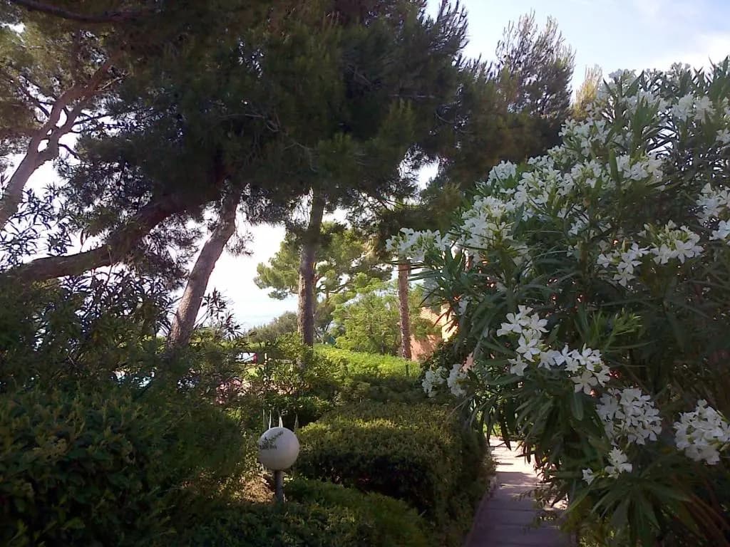 Saint-Mandrier-sur-Mer, ravissant T2 vue mer - Photo 5