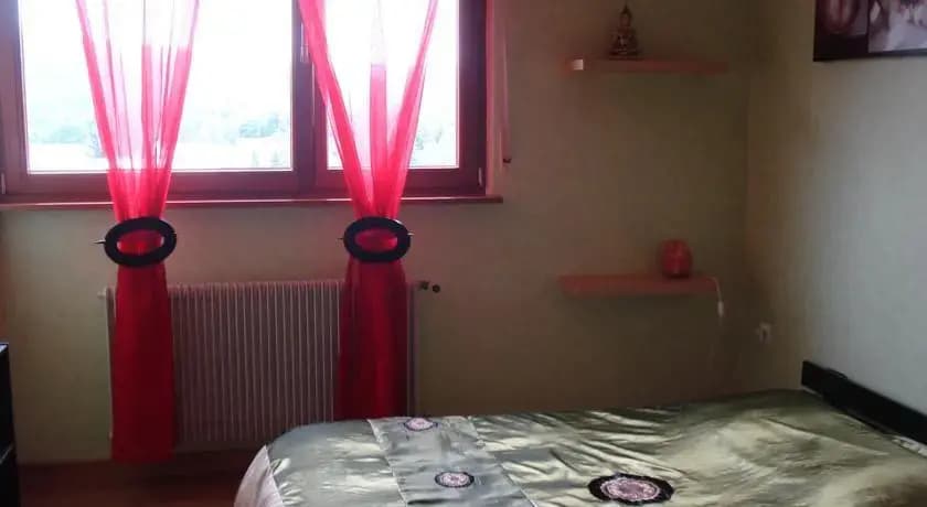 Gîte le Bambou - Photo 1