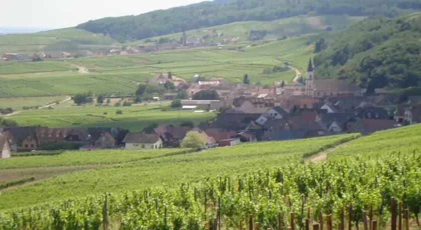 Anselm - Photo 4