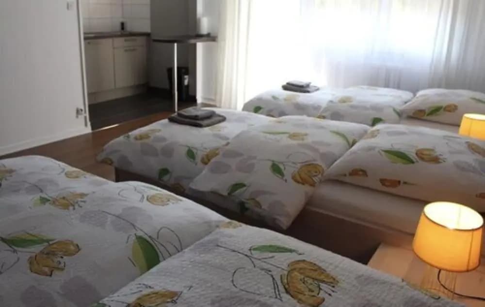 Studios near Basel Airport - RM 114 - Photo 2
