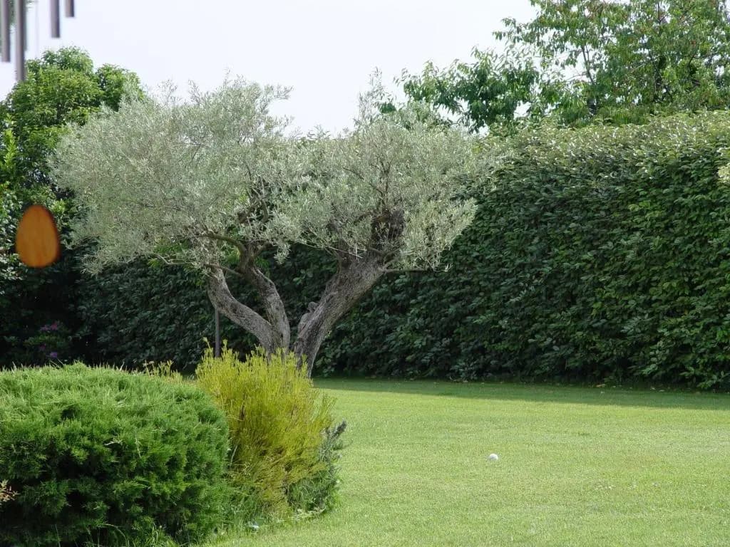 La Guéritaulde - Miniature 8