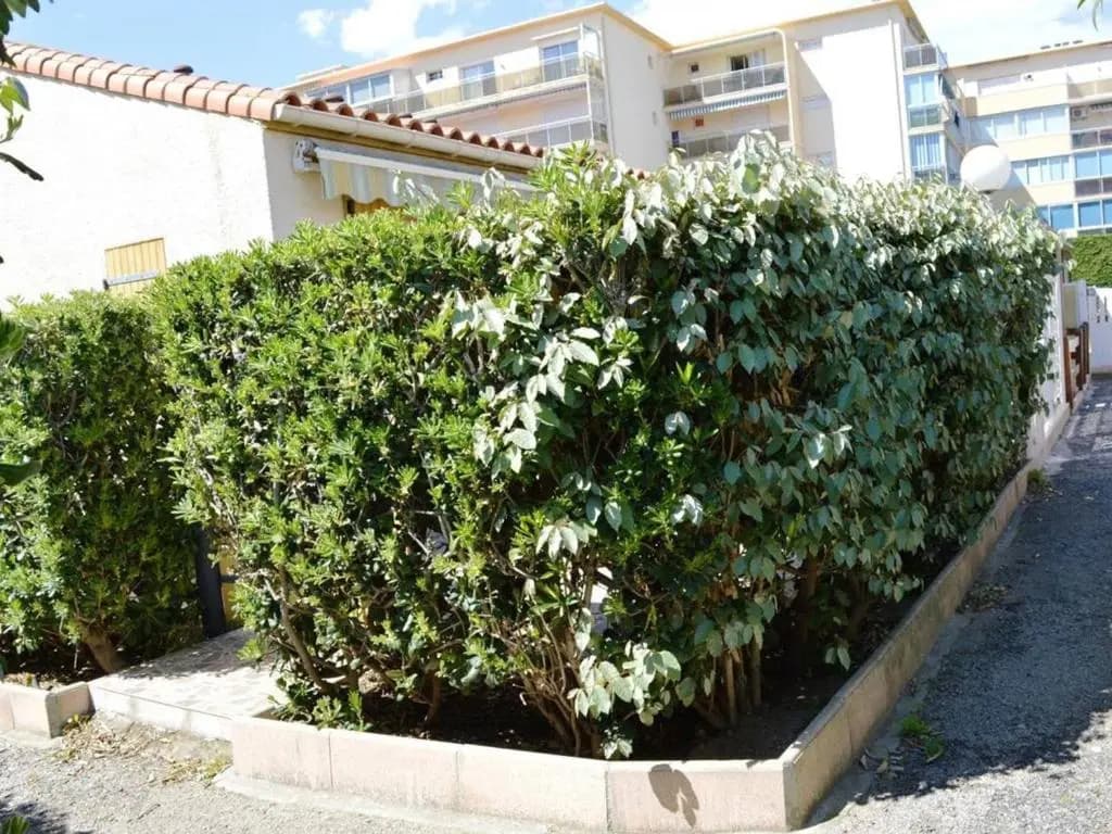 Appartement Argelès-sur-Mer, 1 pièce, 4 personnes - FR-1-225-608 - Miniature 8