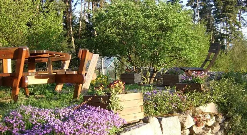 la dordorette - Miniature 6