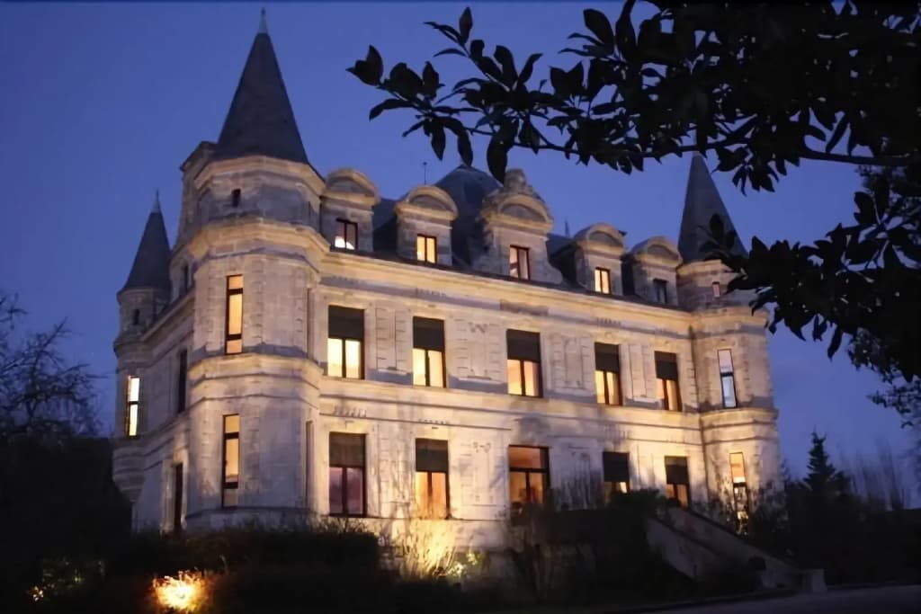 Château Camiac - Photo 1