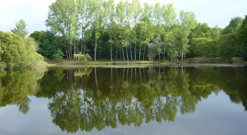Lakeside Bed and Breakfast - Photo 4