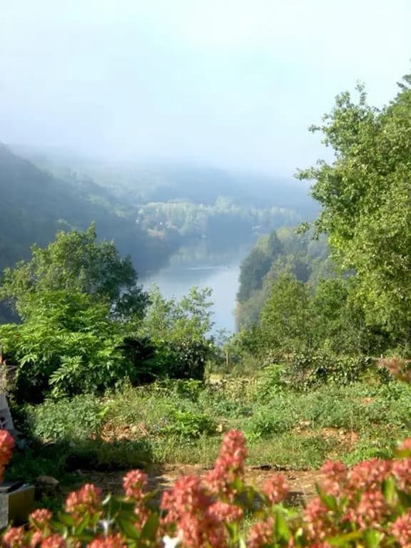 Cottage Les Glycines - Photo 5