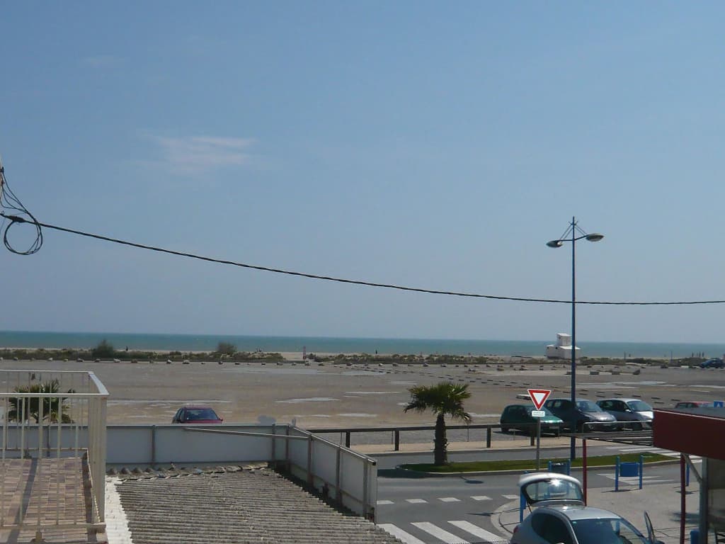 Vicente - Miniature 7