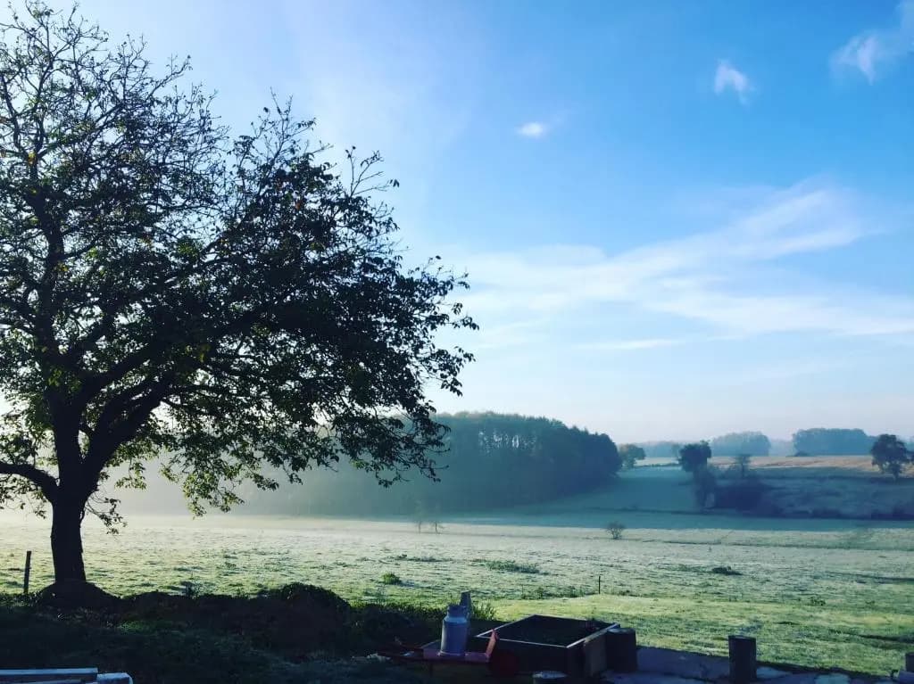La Ferme du Bonheur - Photo 4