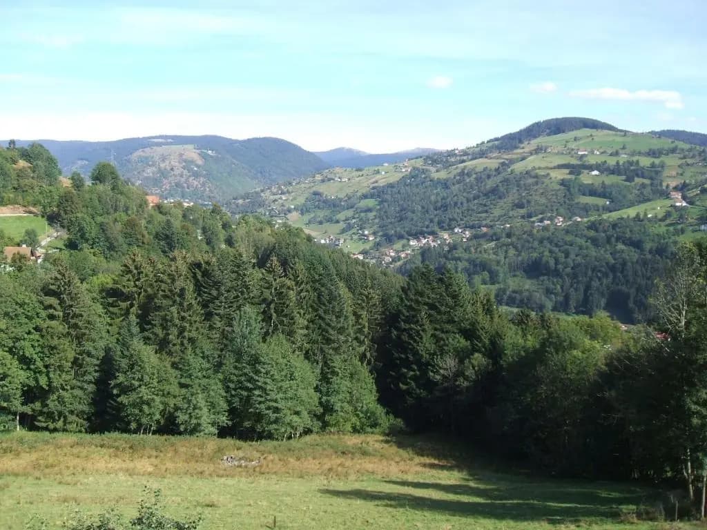La Ferme du Vieux Sapin - Photo 1
