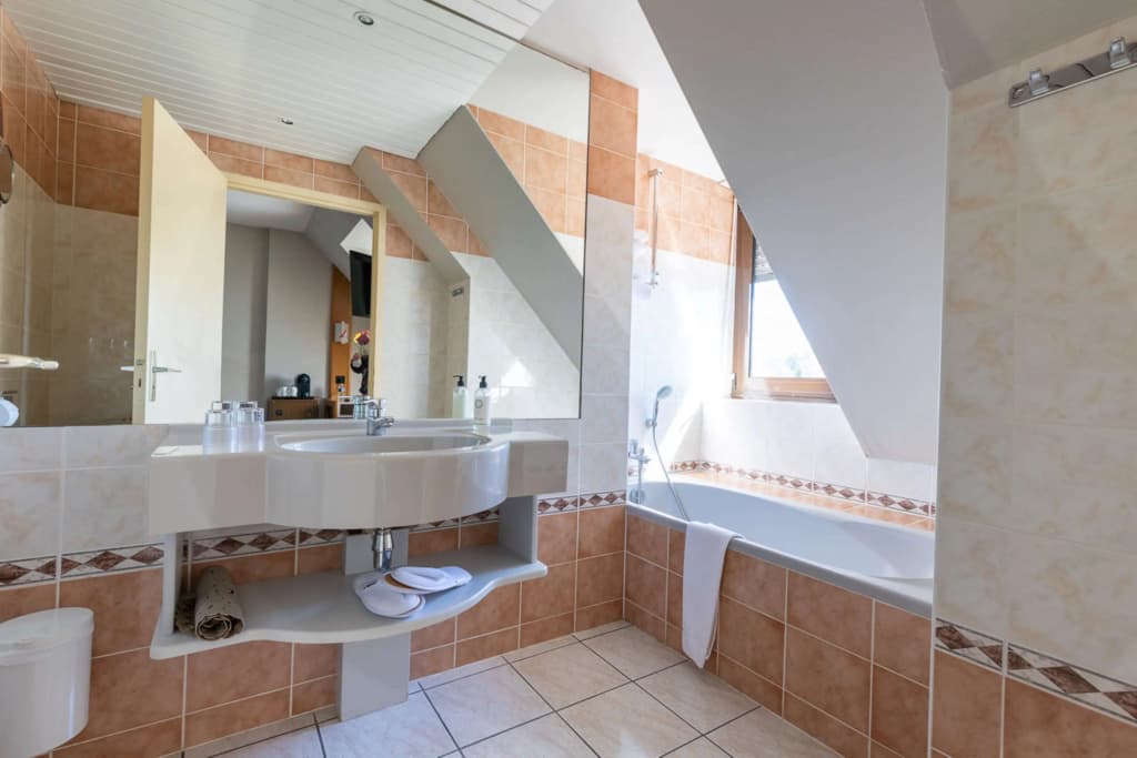 Best Western Le Relais de Laguiole Hotel & Spa - Miniature 8