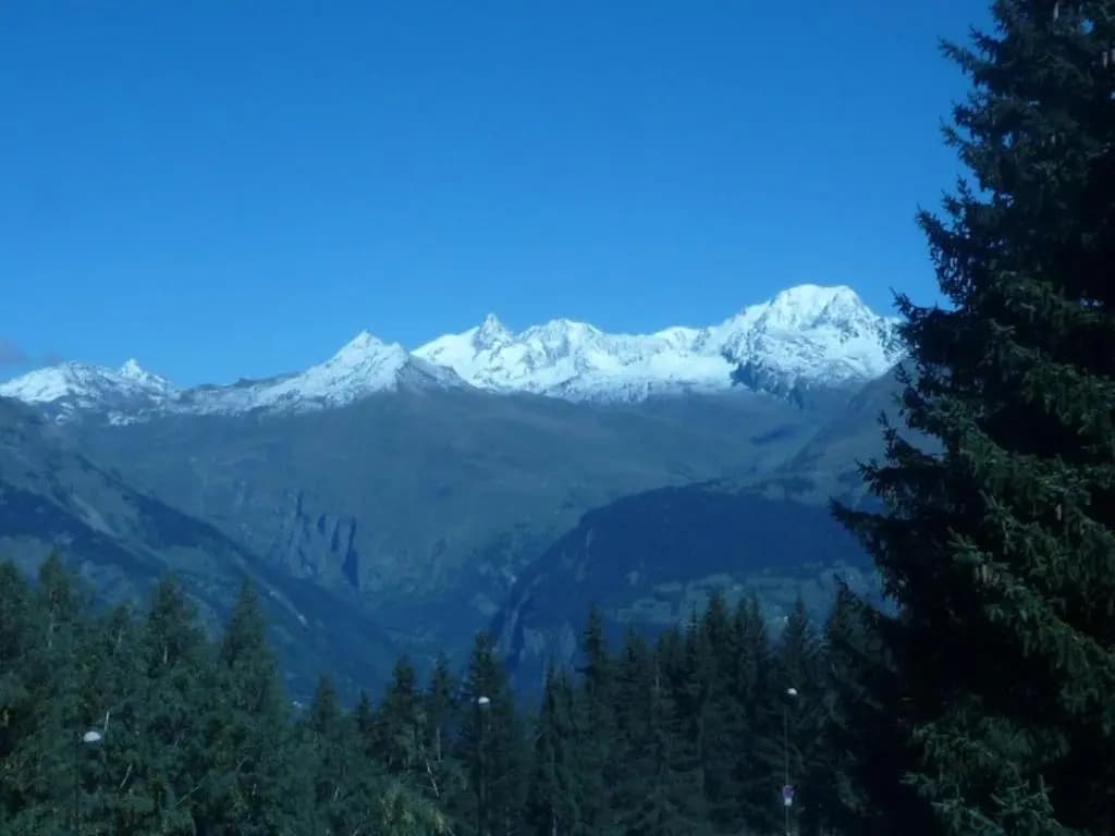 Appartement Les Arcs 1800, 1 pièce, 5 personnes - FR-1-411-399 - Photo 5