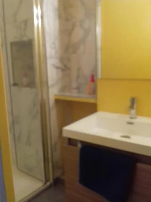 MAIRIE - 50M2 - BALCON s/cour - Miniature 7