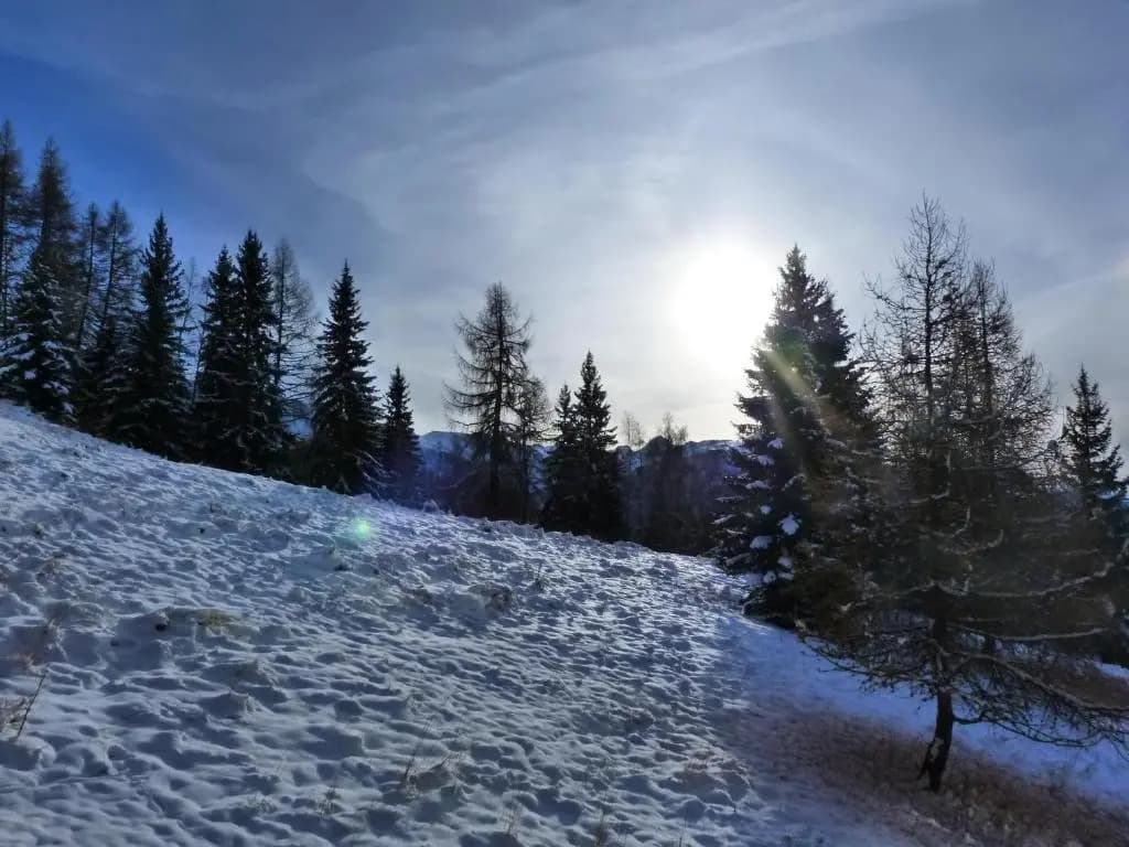 Appartement Les Arcs 1800, 1 pièce, 4 personnes - FR-1-411-627 - Photo 3