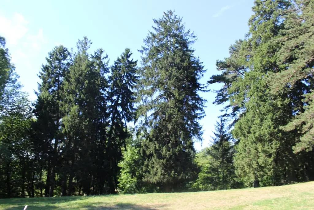 Gîte du château de Feschaux, Jura - Photo 4