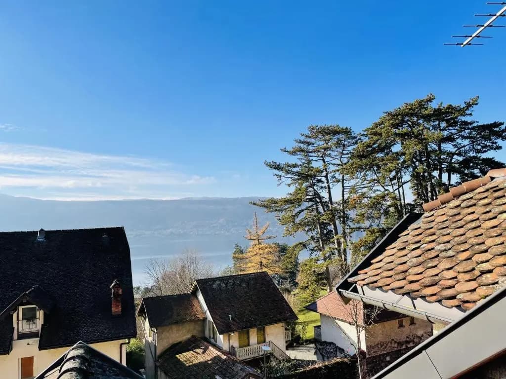 Le grand duplex du lac - Photo 1