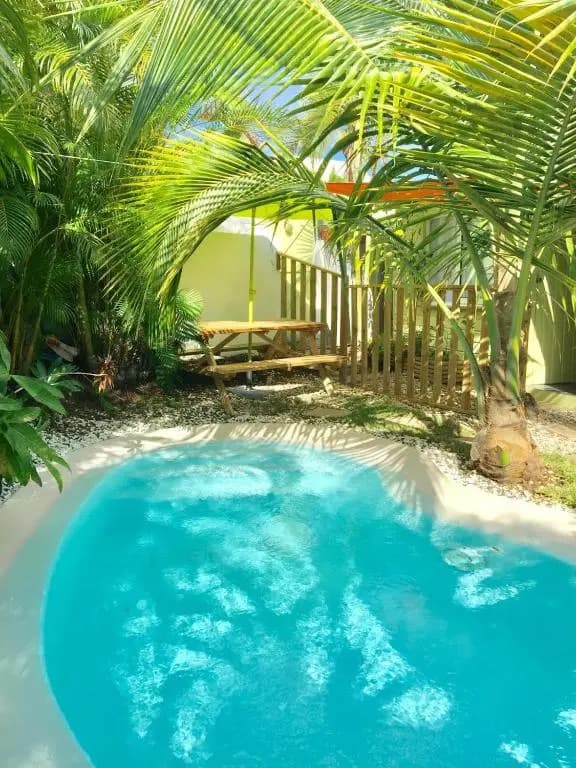 Maison de 2 chambres avec piscine privee jardin amenage et wifi a Saint Joseph a 6 km de la plage - Miniature 8