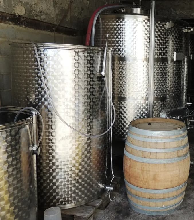 Domaine Houillon - Photo 4