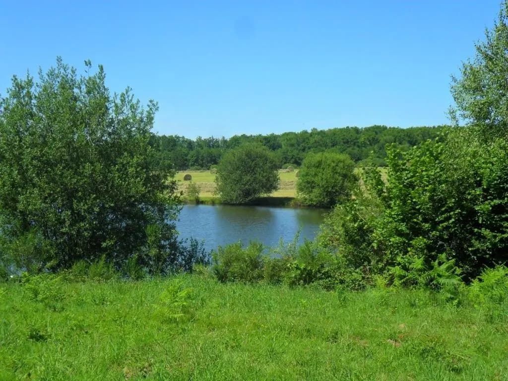 Bachellerie - Photo 3
