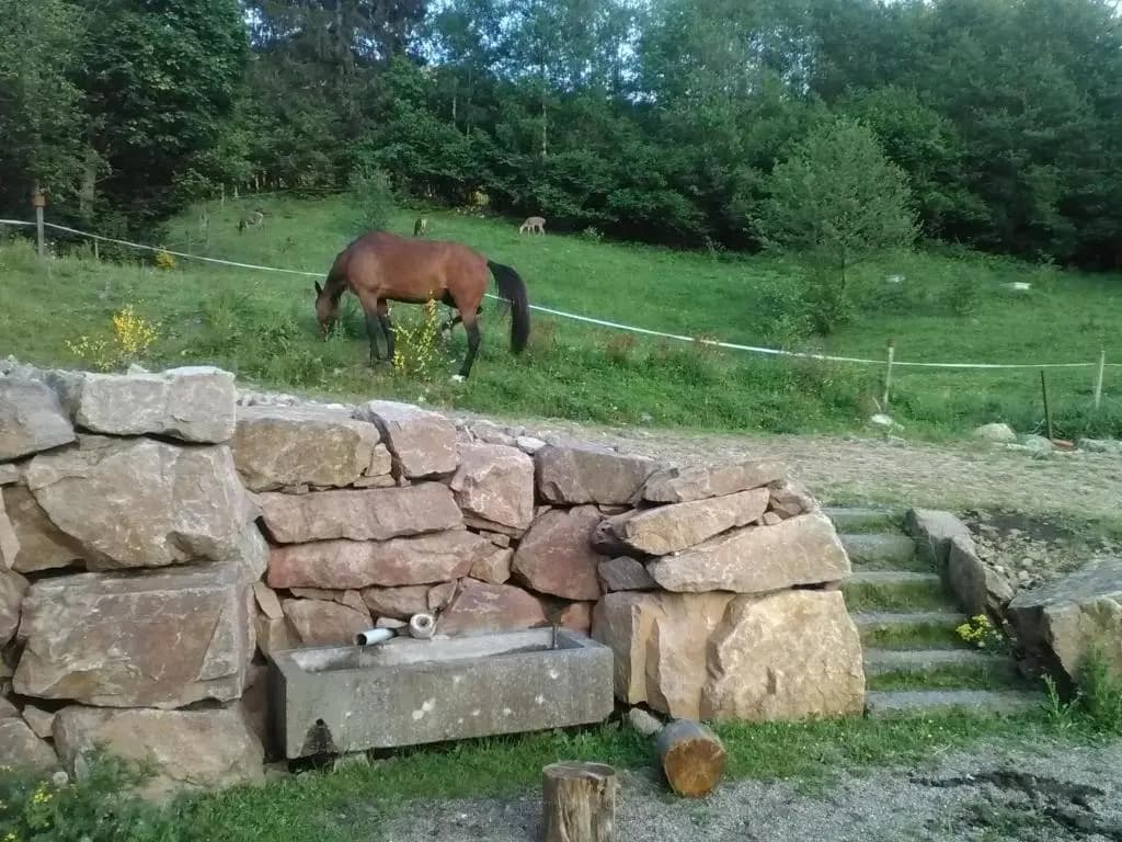 Haut Pre De Ces Dames - Photo 4