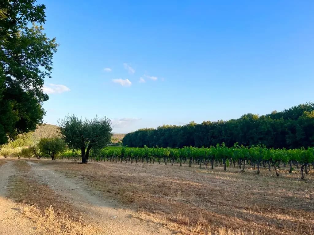T2 avec terrasse arborée proche LOURMARIN - Photo 5