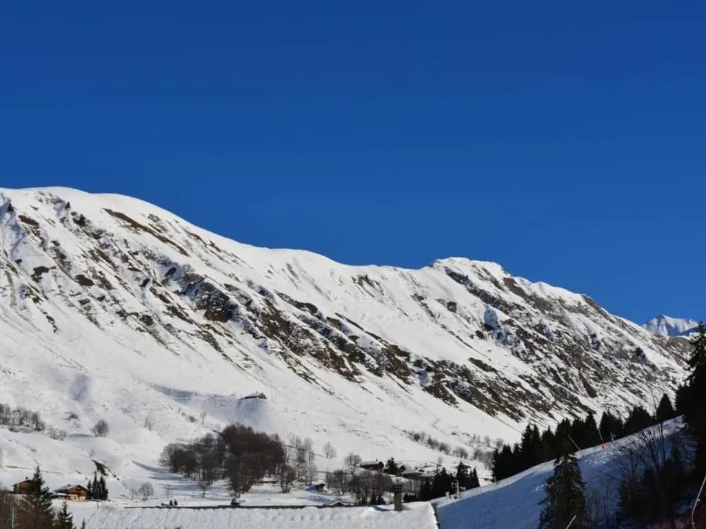 Appartement Le Grand-Bornand, 1 pièce, 4 personnes - FR-1-241-6 - Photo 4