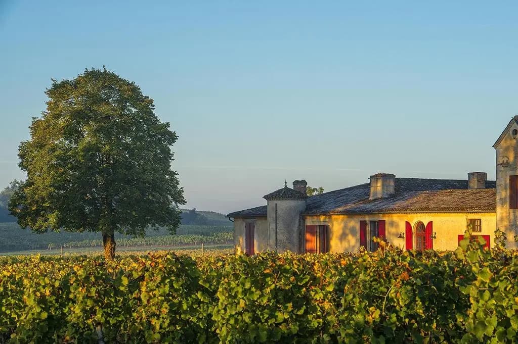 Château Sigalas Rabaud - Photo 1