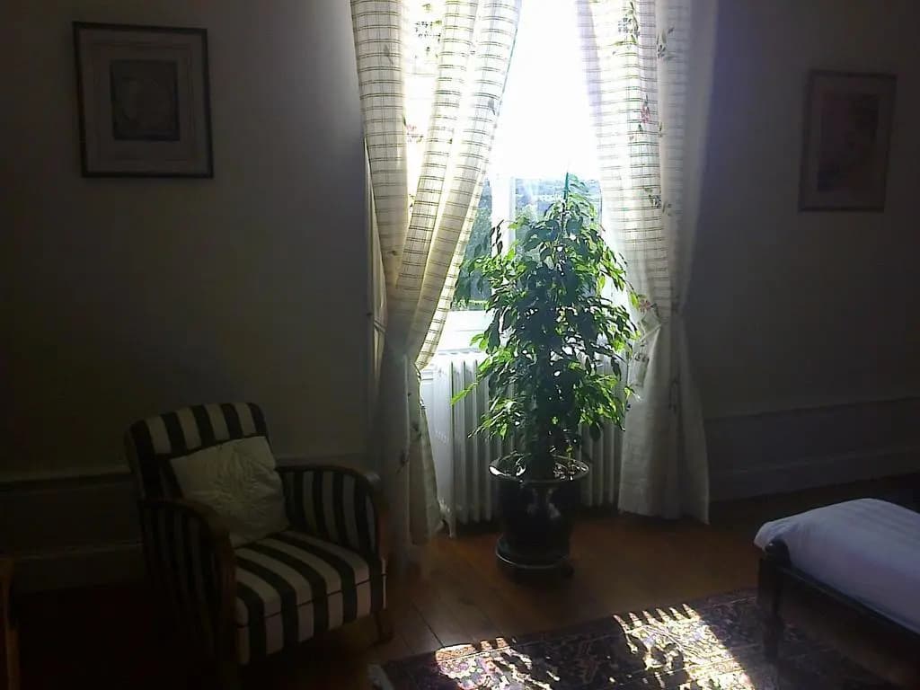 Chambre d'hôtes Rijckaert - Photo 3