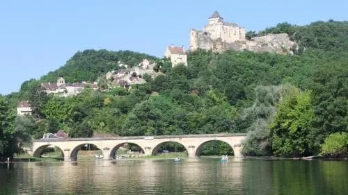 Le Grand Cèdre - Photo 5