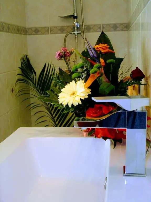 Villa arbre du voyageur, 4 étoiles et 4 clévacances - Photo 5