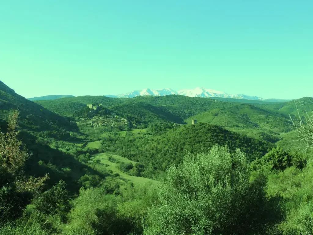 La Figuera - Miniature 6
