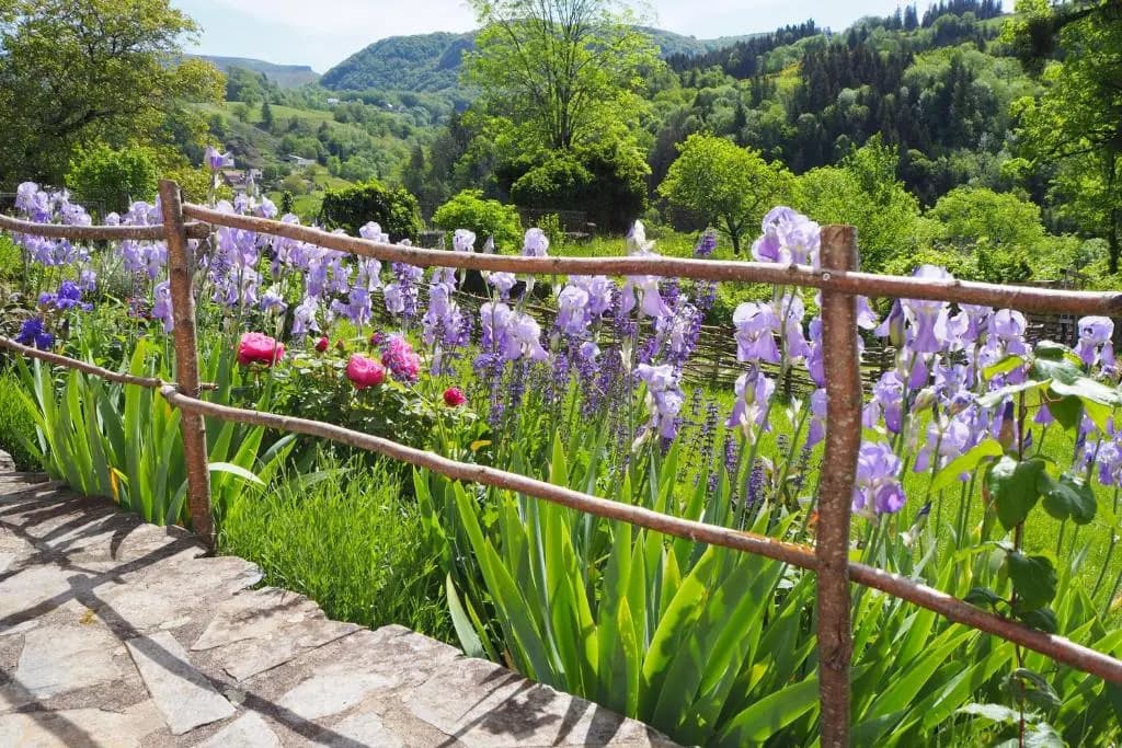 Domaine de la Jordanne - Photo 4