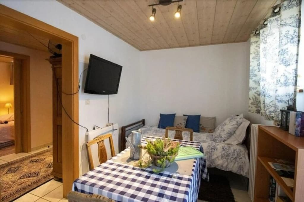 Flat in Alsace Near Vosges Nature Park - Photo 1