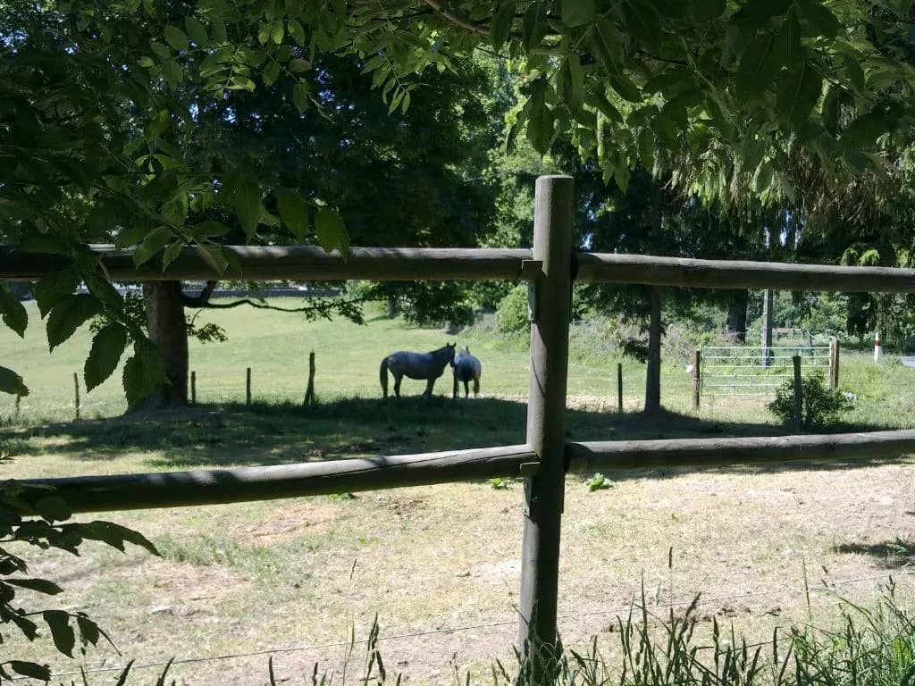 Domaine d'Angel-Berg - Photo 4