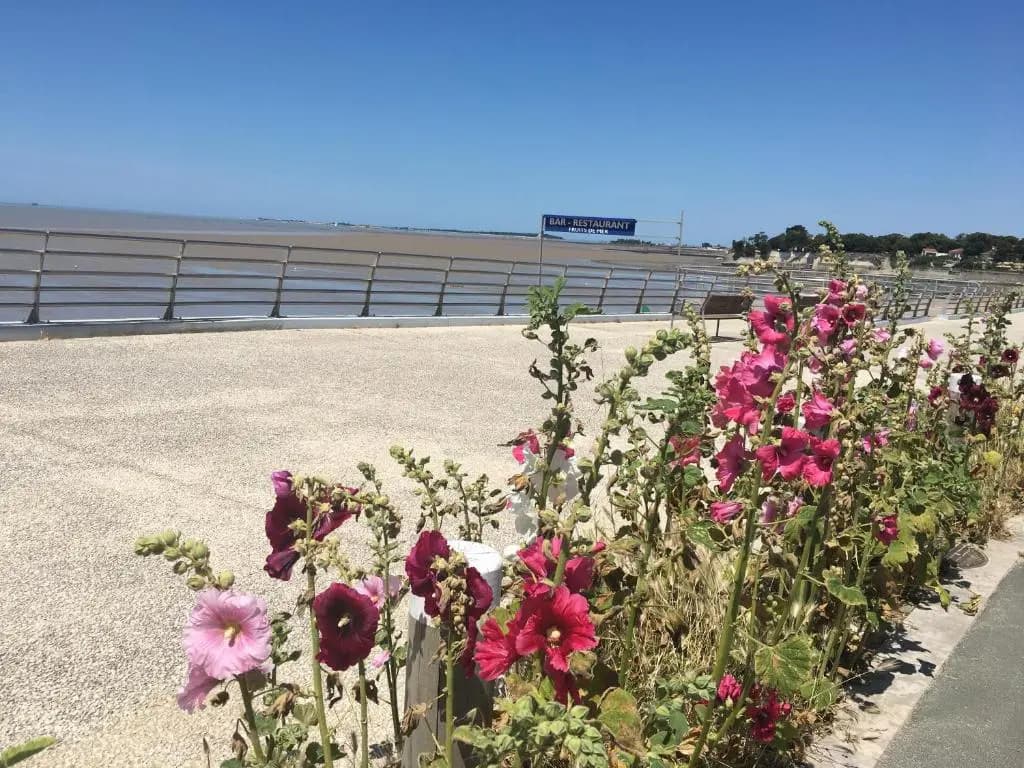 Petit nid à 50m de la plage au coeur de Fouras - Photo 5