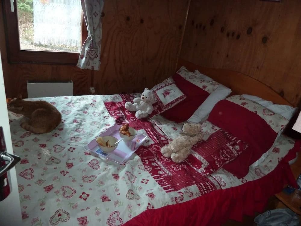 Chalet du Feignolé - Photo 3