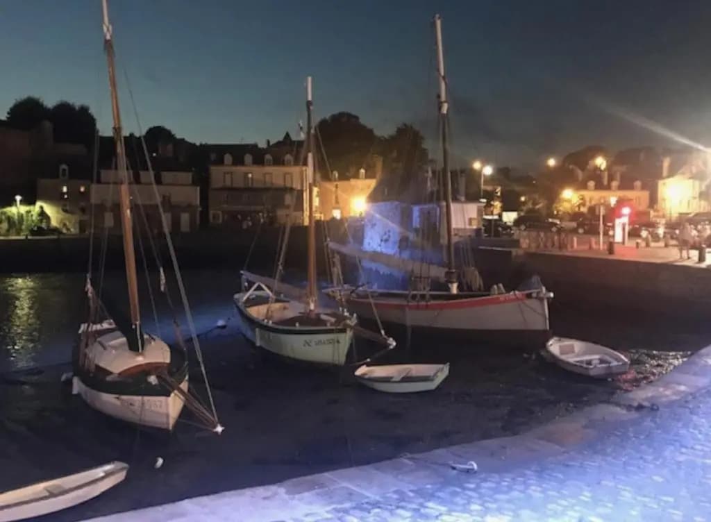 IDÉAL- En plein milieu du PORT de ST GOUSTAN à AURAY- Grand T2 - 50M2 -Belle Terrasse - Photo 2