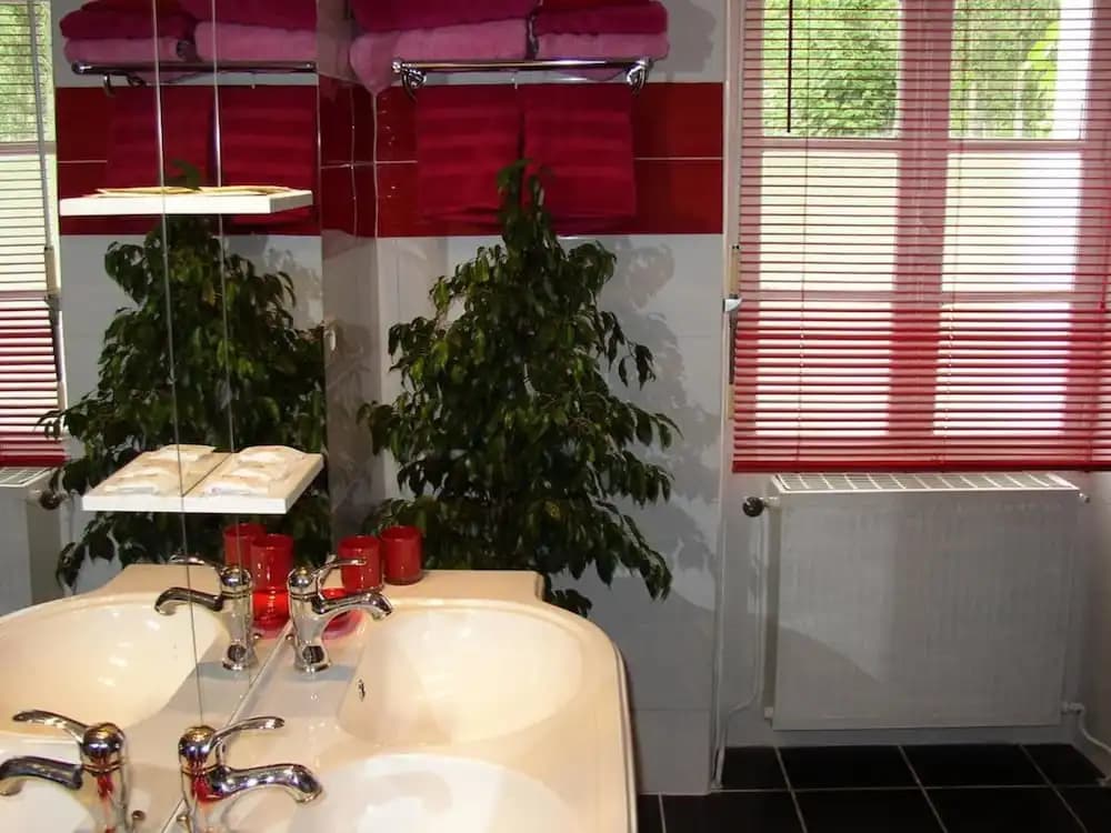 Le Jardin des Cygnes - Miniature 8