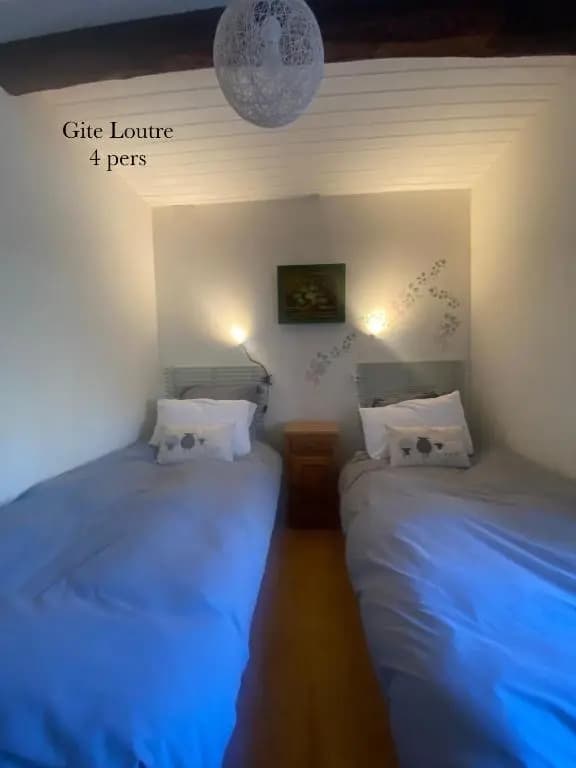 Gites Libellule - Photo 4