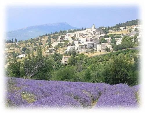 Logis le Relais du Mont Ventoux - Miniature 7