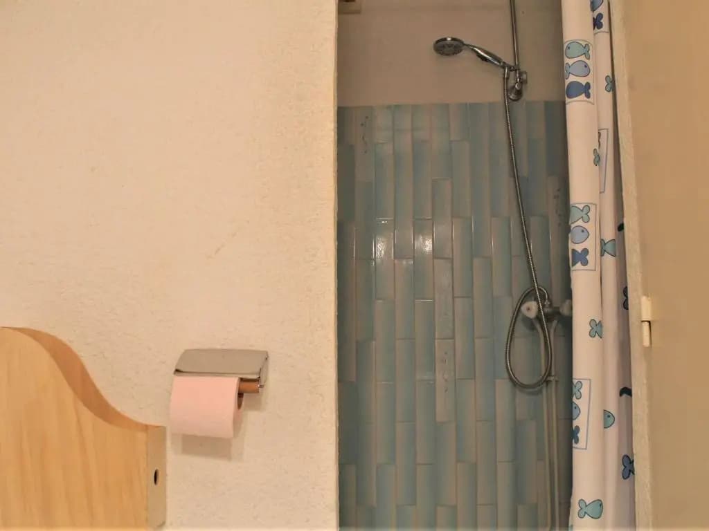 Appartement Risoul, 1 pièce, 4 personnes - FR-1-330-221 - Miniature 8