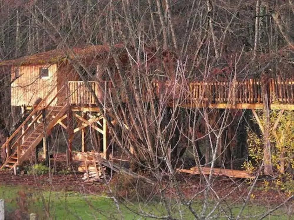 Cabane des cerfs - Miniature 6